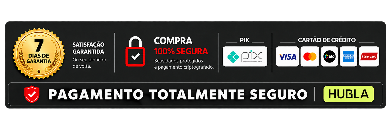 Pagamento totalmente seguro, com Pix e cartão de crédito